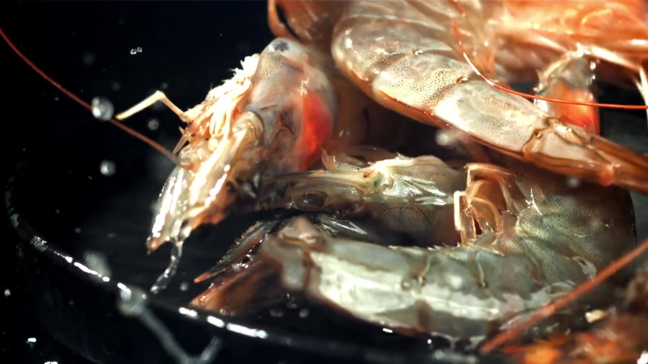 Gamberi freschi che schizzano nell'acqua in una padella