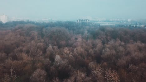 flying over a concrete living apartment area in east europa with many birds flying around the drone