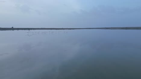 Calm-lake-with-birds-on-cloudy-day