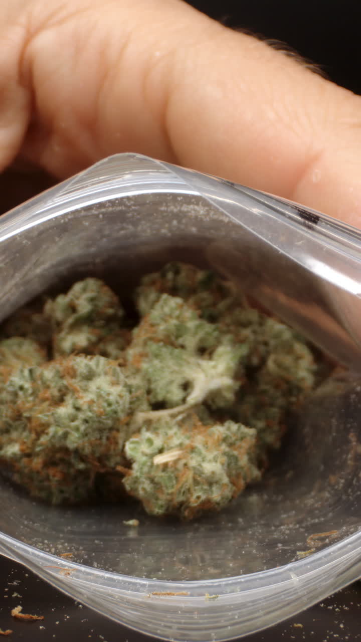 primo piano dei germogli di cannabis in verticale