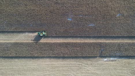 en noviembre, una operación agrícola en ne wisconsin corta y recolecta maíz para ensilaje