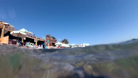 el perro negro nada en la superficie del agua y se sumerge en busca de piedras en el fondo del mar. disparo submarino, 4k-60fps. mar rojo, dahab, egipto
