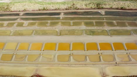 salt garden, nature reserve, salt ponds, ile-de-ré, france