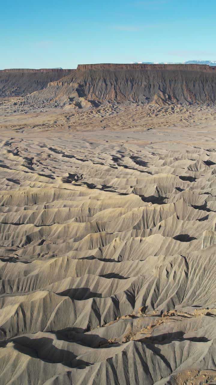 Aerial View of Desert Canyon Landscape
