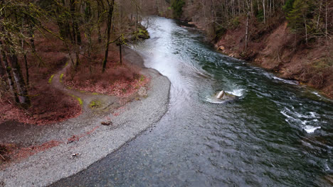 pacífico noroeste movimiento suave hacia adelante del rápido flujo del río cedar en el estado de washington