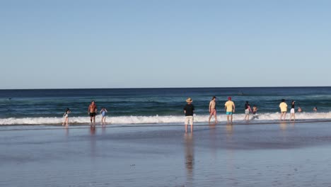 people enjoying a sunny day at the beach