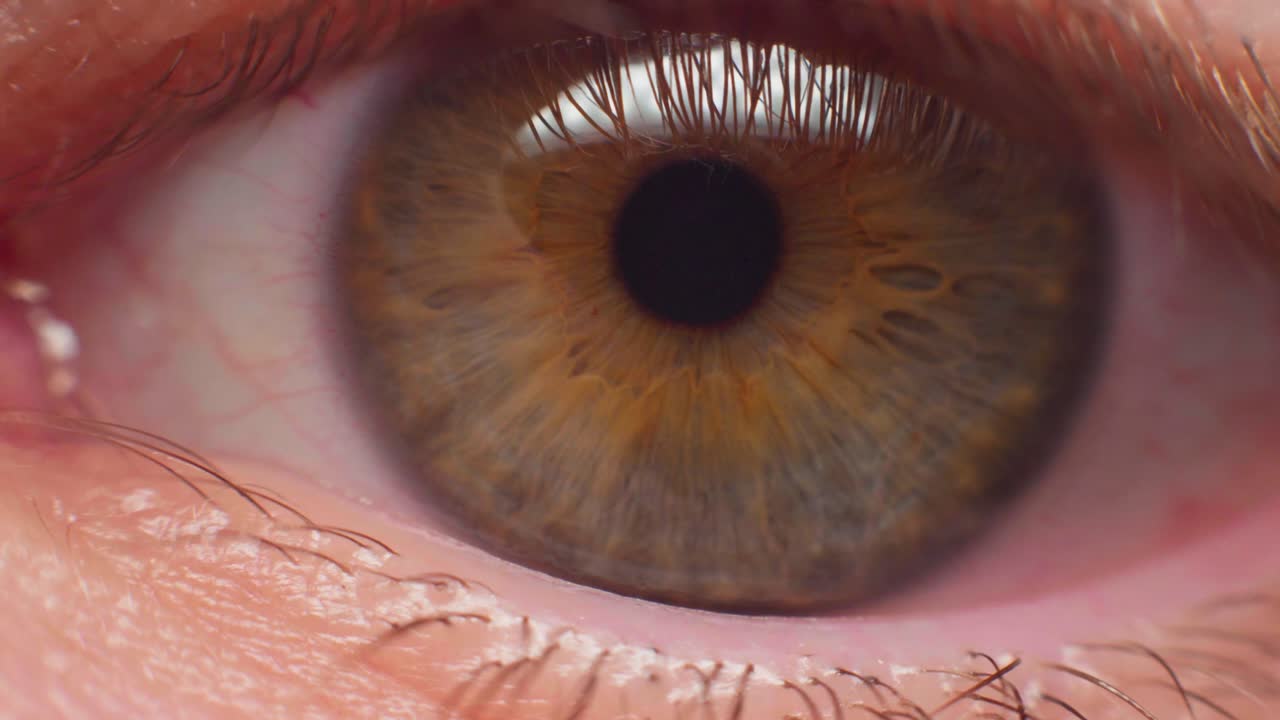toma macro de 4k de un ojo en cámara lenta, mirando a la cámara
