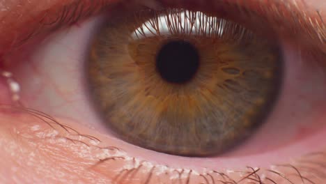 4k macro shot of an eye in slow motion, looking into the camera