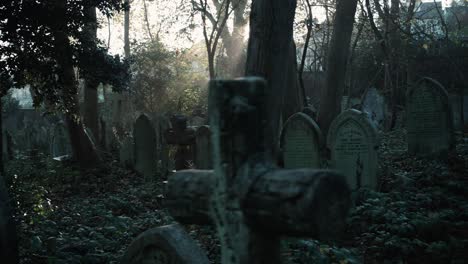 old overgrown graves and misty sunshine in the background