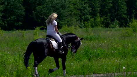 a beautiful girl in white hair and white clothes is riding a black brown stallion. the girl makes the horse perform various beautiful movements. the girl's hair develops in the wind. sunny summer day on a green glade.