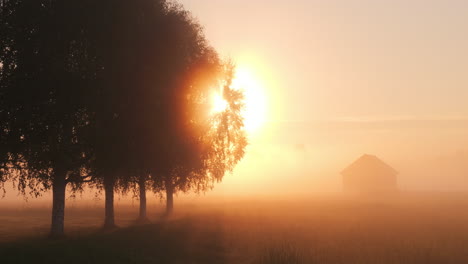 Amazing-sunset-fog-over-Countryside-field-in-northern-Europe,-chill-autumn-day