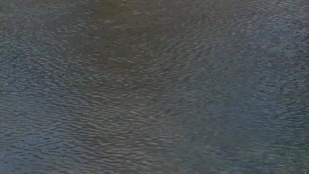 Water surface wet texture moving ripple light reflection up-close