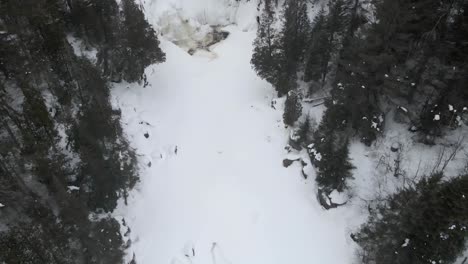 cascada congelada en medio de un bosque nevado