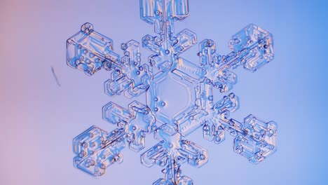 Snowflake-close-up-under-microscope-panning-view-blue-background-fine-details