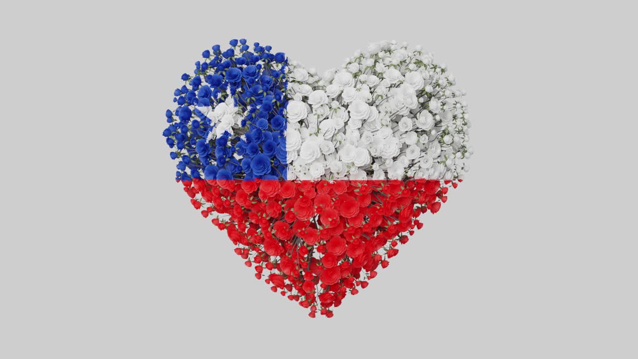 Chile National Day. September 19. Heart animation with alpha matte. Flowers forming heart shape.