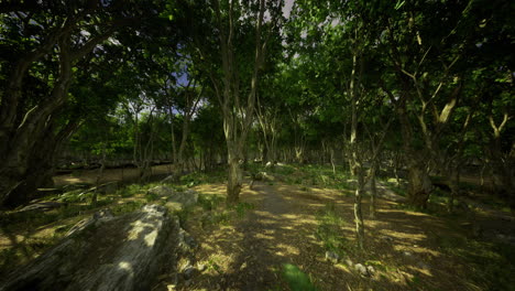lush forest landscape showcasing diverse vegetation and tranquil atmosphere