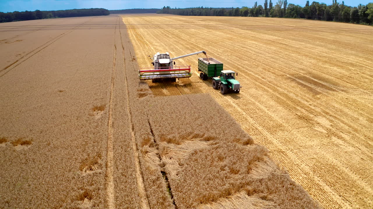 Combine and tractor harvesting on wheat field. Aerial shot of combine loading off corn grains into tractor trailer