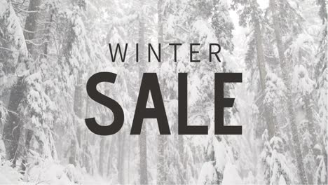 Digitally-generated-video-of-winter-sale-4k