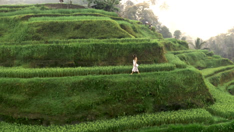 Tourist-Zu-Fuß-Auf-Einer-Terrasse-In-Einem-Atemberaubenden-Reisfeld,-Bali