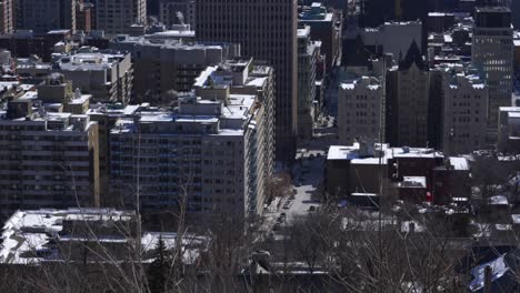 floating full shot of montreal city downtown apartment buildings from top of mont-royal