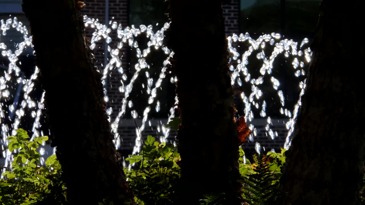 Water fountain as seen through trees.