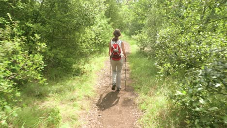 Eine-Wanderin-Mit-Wanderstöcken-Und-Rucksack-Wandert-Durch-Einen-Hellen,-Sonnigen-Wald-In-Der-Französischen-Landschaft