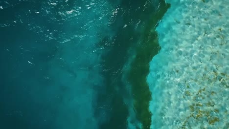 drone footage flying over a clear caribbean sea, in los roques, venezuela