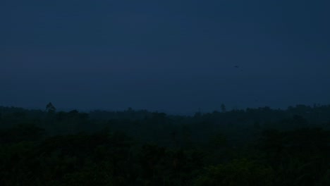 Evening-blue-hour-cinematic-tropical-forest-landscape-with-birds-flying,-static