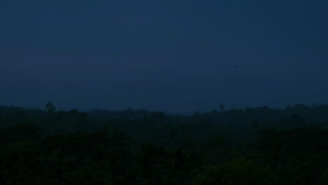 evening blue hour cinematic tropical forest landscape with birds flying, static