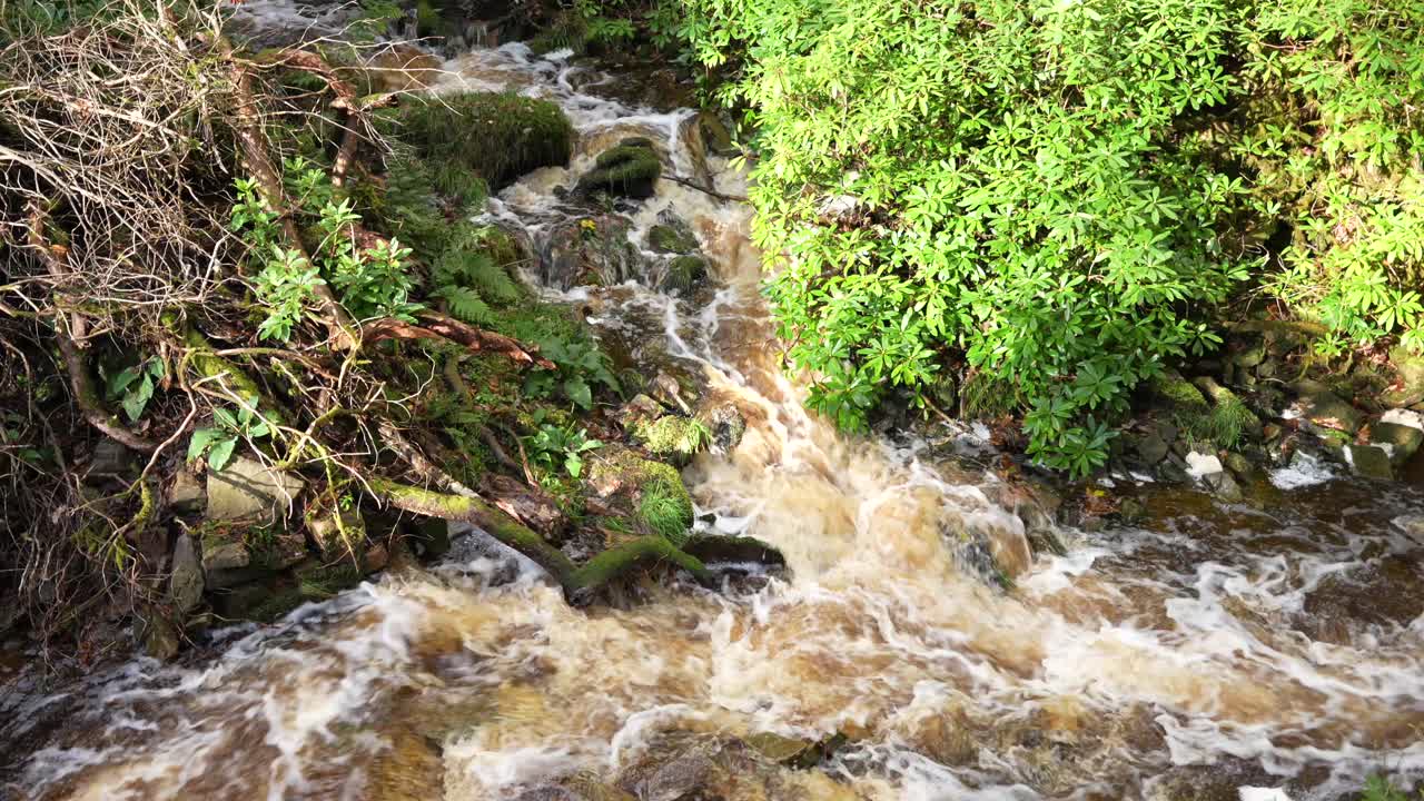 Confluenza di un torrente impetuoso nel Peak District dopo un forte deflusso di pioggia