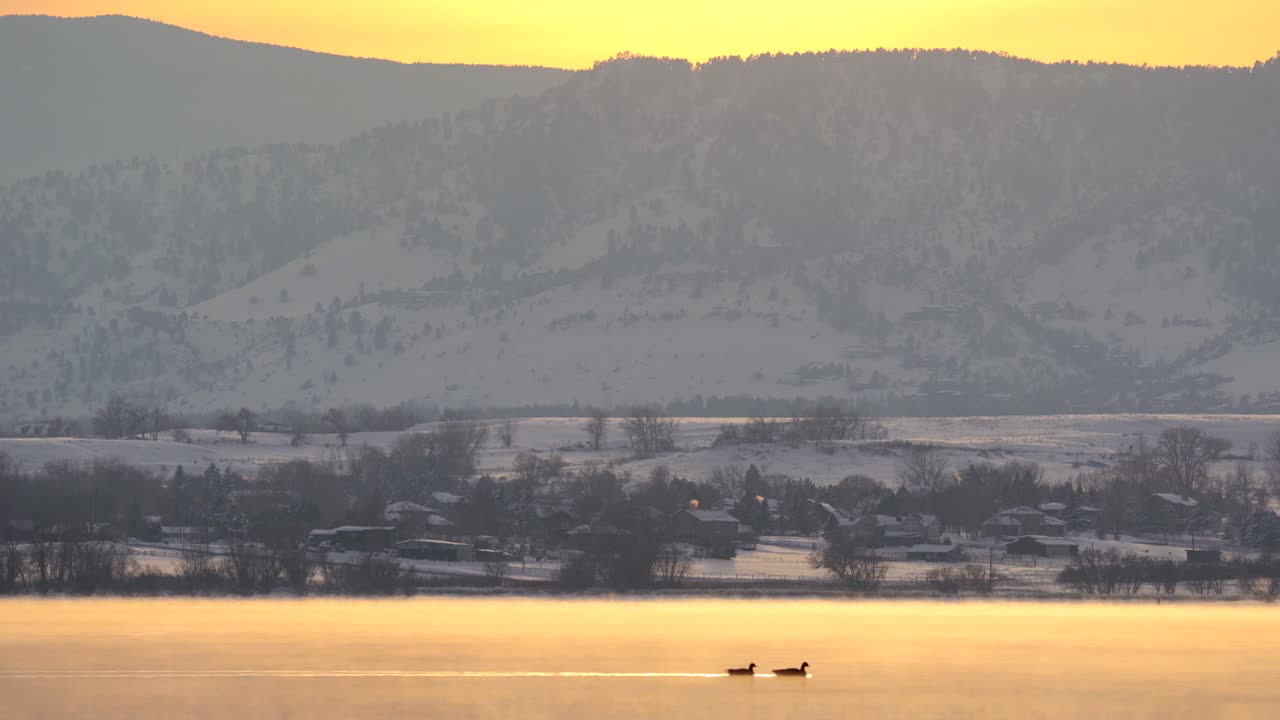 눈 덮인 산을 배경으로 안개 낀 호수에서 헤엄치는 캐나다 기러기 떼