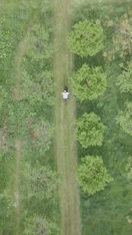 drone vertical video tracking man on mountain bike cycling along trail through woodland