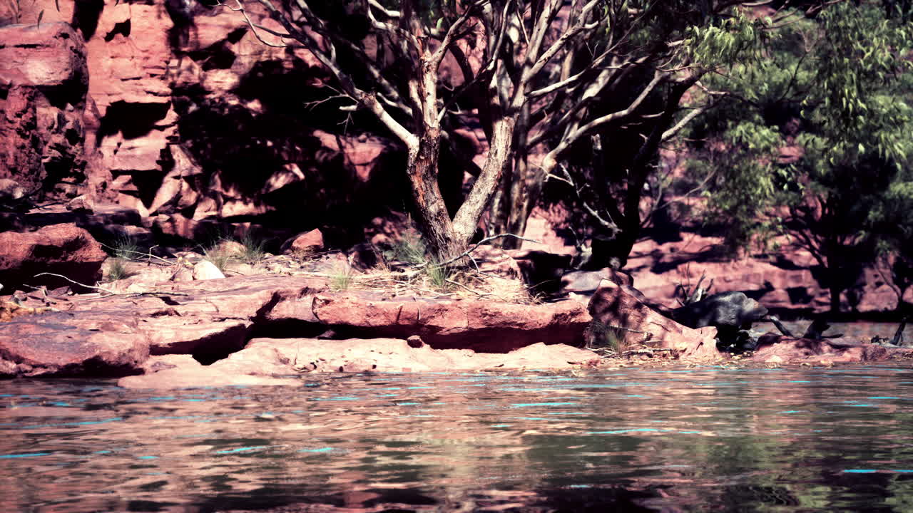 경치 좋은 오스트레일리아 외의 하천 바닥에 은 바위가 있습니다.