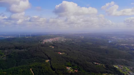포르투갈의 figueira da foz 근처의 자연의 드론 영상