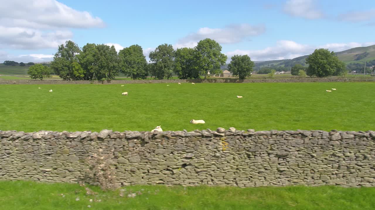 imágenes de drones laterales que corren paralelas a una pared de piedra seca de un campo de ovejas en un día soleado en el campo rural cerca de la aldea de settle, north yorkshire, reino unido