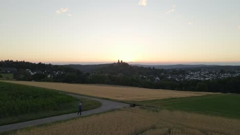 low flyover a wheat field with braunfels castle silhouette in the background