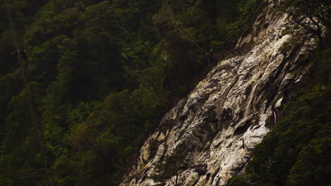 Avalancha-De-árboles-O-Efecto-De-Deslizamiento-De-árboles-De-La-Pendiente-Rocosa-De-Milford-Sound