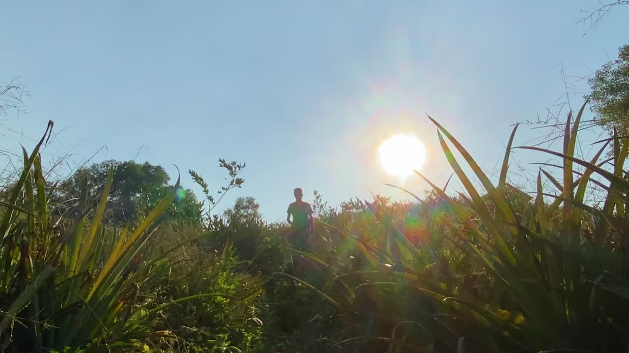 정글 식물 필드, 탐험가, 모험, 밝은 태양을 걷는 여행자 남자