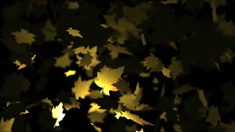 animation of falling leaves loop autumn