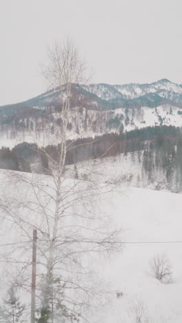 montañas forestales gigantes cubiertas de nieve vistas desde la ventana de una pequeña cabaña. paisaje de invierno en la región de gorny altai en un día desagradable de primer plano