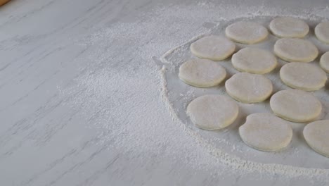 cut out dough circles for making buns, dounuts.