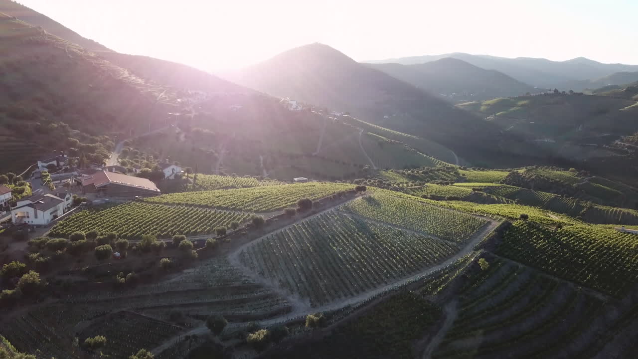 Inclinazione verso l'alto sulla Valle del Douro per osservare il sole nascente, che crea un magnifico bagliore solare