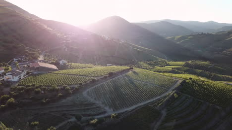 Inclinándose-Sobre-El-Valle-Del-Duero-Para-Mirar-Hacia-El-Sol-Naciente,-Proyectando-Un-Hermoso-Resplandor-Solar