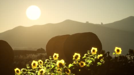 fardos de heno en la puesta de sol