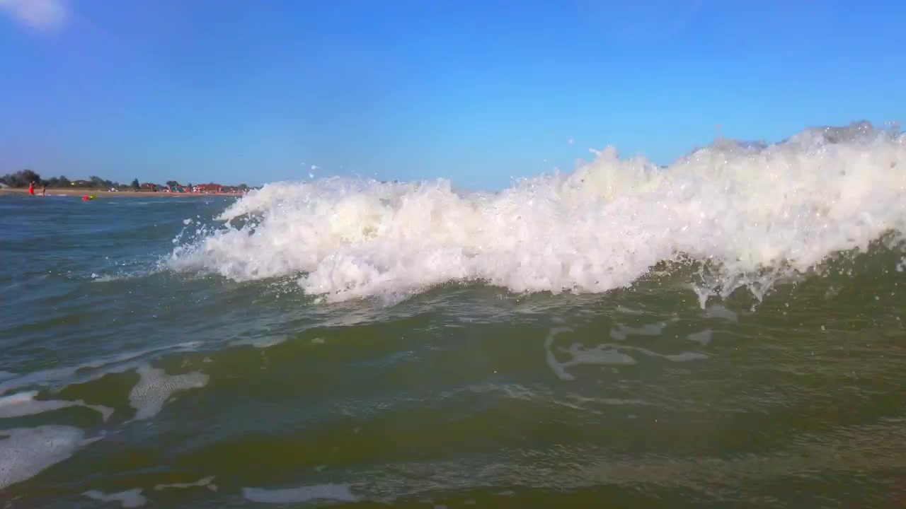 The surfer girl surfing on the surf board on the waves.