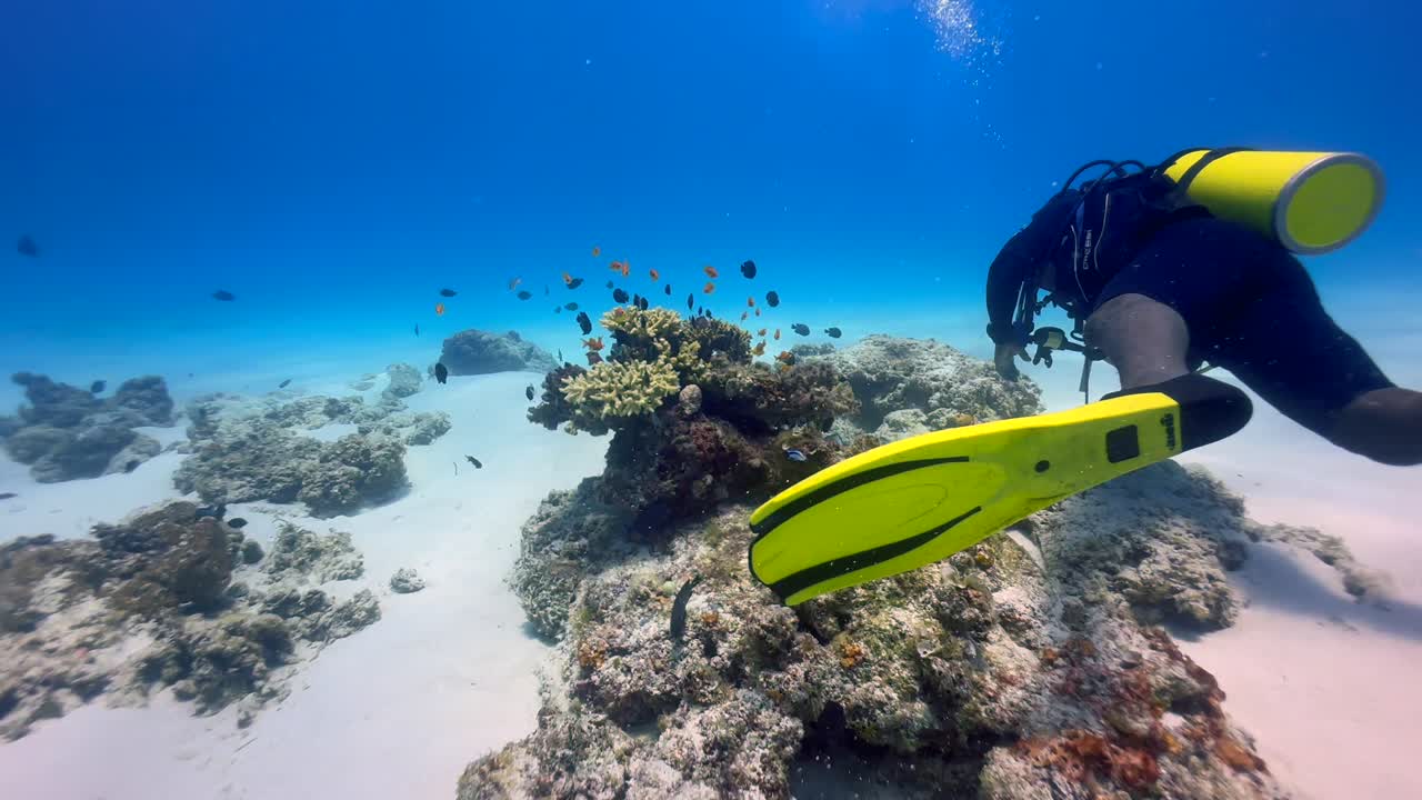 Diver exploring coral reef on a sandy bottom near Mnemba Island, Zanzibar, Tanzania.