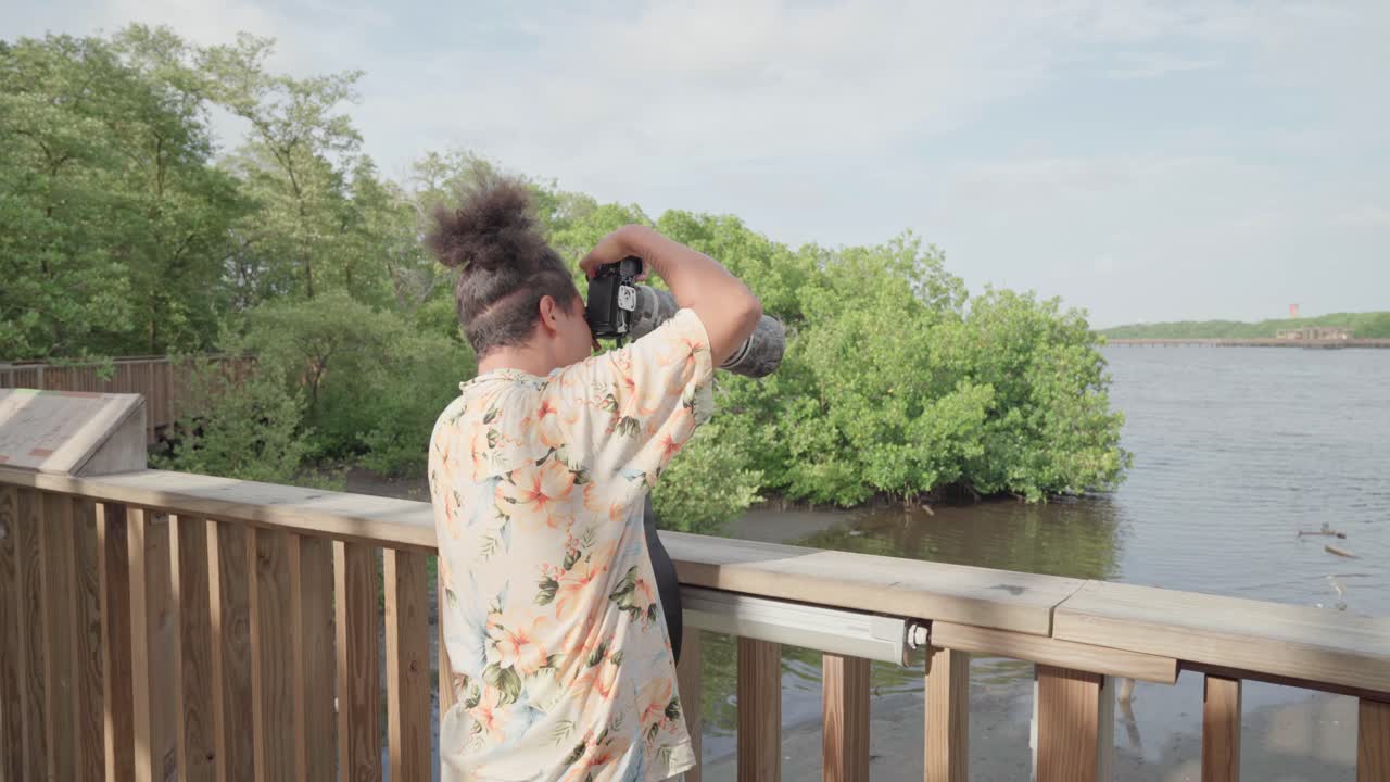 Wildlife photographer using a telephoto lens captures images from a wooden boardwalk, cienaga de mallorquin, colombia