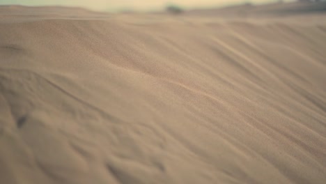 Un-Clip-En-Cámara-Lenta-Para-Una-Arena-Del-Desierto