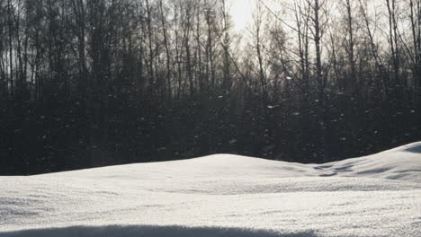 Gentle-snowflakes-descending-over-a-serene,-snow-covered-landscape-with-bare-trees