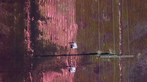 Top-down-aerial-tilts-up-to-reveal-cranberry-field-workers-moving-through-the-bog-on-harvesting-machines